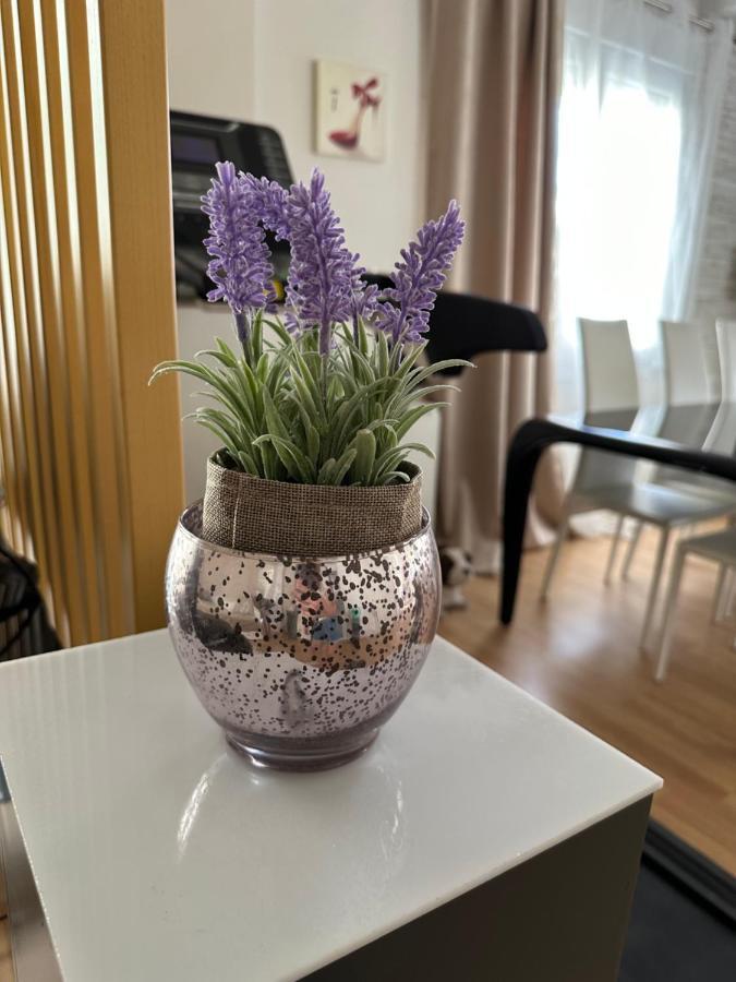 Cozy Apartment With Parking Near The City Center Athen Eksteriør bilde